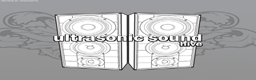 Ultrasonic Sound