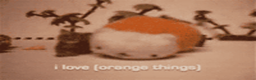 I Love (Orange Things)