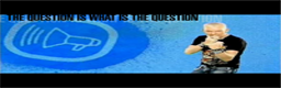 The Question is What is the Question