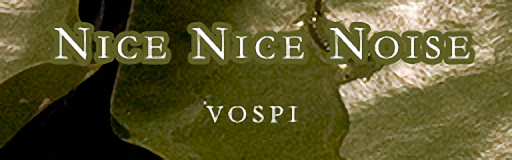 Nice Nice Noise