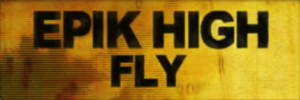 Fly