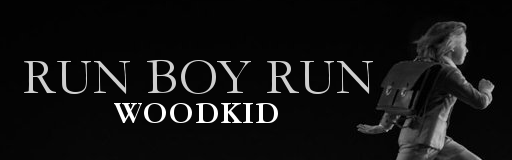 Run Boy Run