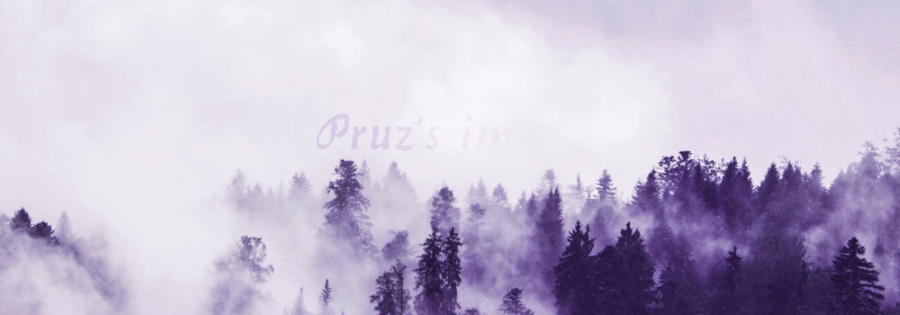 Pruz's i