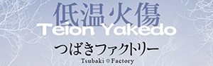 Teion Yakedo
