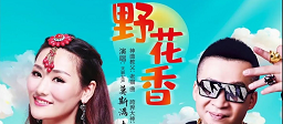野花香 (DJ Remix)