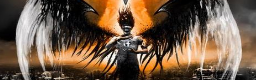 The Blackened Halo