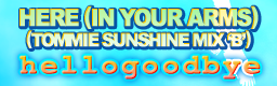 HERE (IN YOUR ARMS) (TOMMIE SUNSHINE MIX 'B')