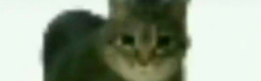 o i i a i o o o o o i a i