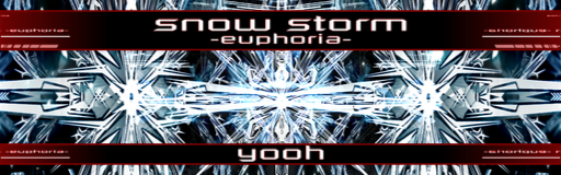 snow storm -euphoria-