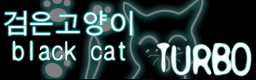 black cat