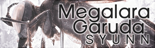 [Round A] - Megalara Garuda