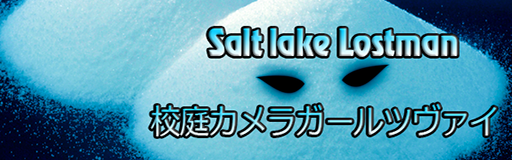 [Round F] - Salt lake Lostman