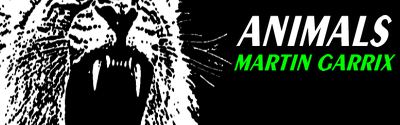 [Break] - Animals