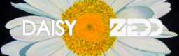 [Mother Nature] - Daisy