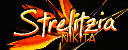[Mother Nature] - Strelitzia