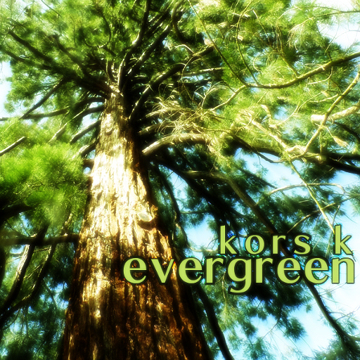 https://zenius-i-vanisher.com/simfiles/Z-I-v%20Summer%20Contest%202015/%5BMother%20Nature%5D%20-%20evergreen/%5BMother%20Nature%5D%20-%20evergreen-jacket.png