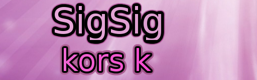 [Week 2] - SigSig
