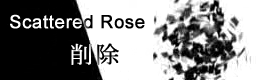 [Week 8] - Scattered Rose