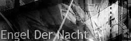 [Female Week] - Engel Der Nacht