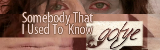 Somebody That I Used To Know