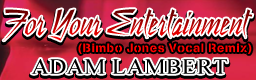 For Your Entertainment (Bimbo Jones Vocal Remix)