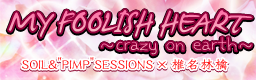 MY FOOLISH HEART ~crazy on earth~