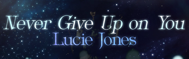 Never Give Up on You