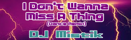 I Don't Wanna Miss A Thing (Dance Remix)