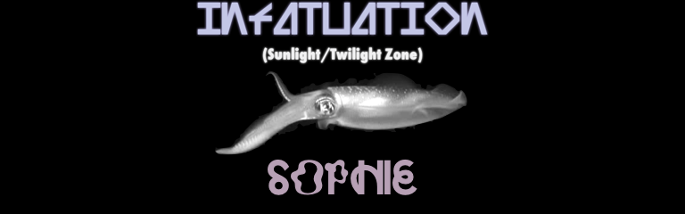 Infatuation (Twilight & Sunlight Zone)
