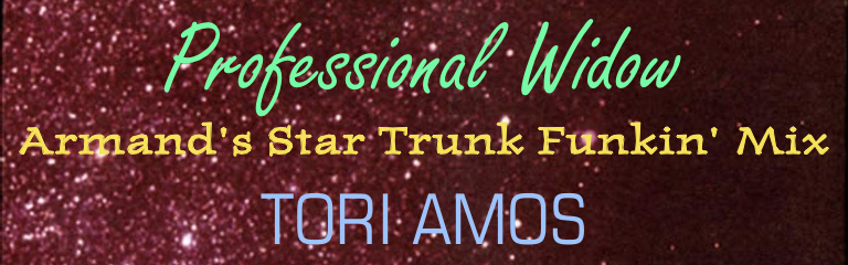 Professional Widow (Armand's Star Trunk Funkin' Mix)