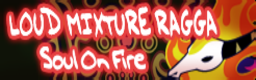 Soul On Fire