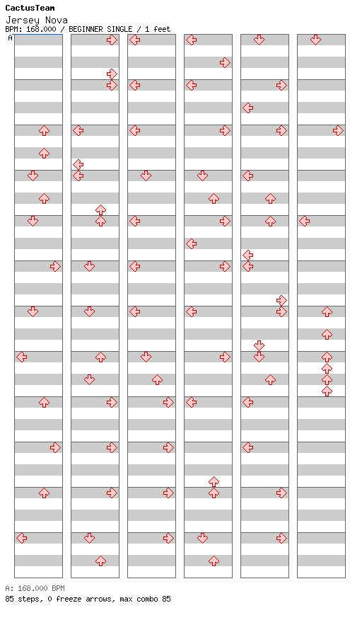 Jersey Nova / 4 / BEGINNER