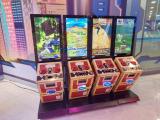 Oreca Battle machines in TP 6 Playtopia